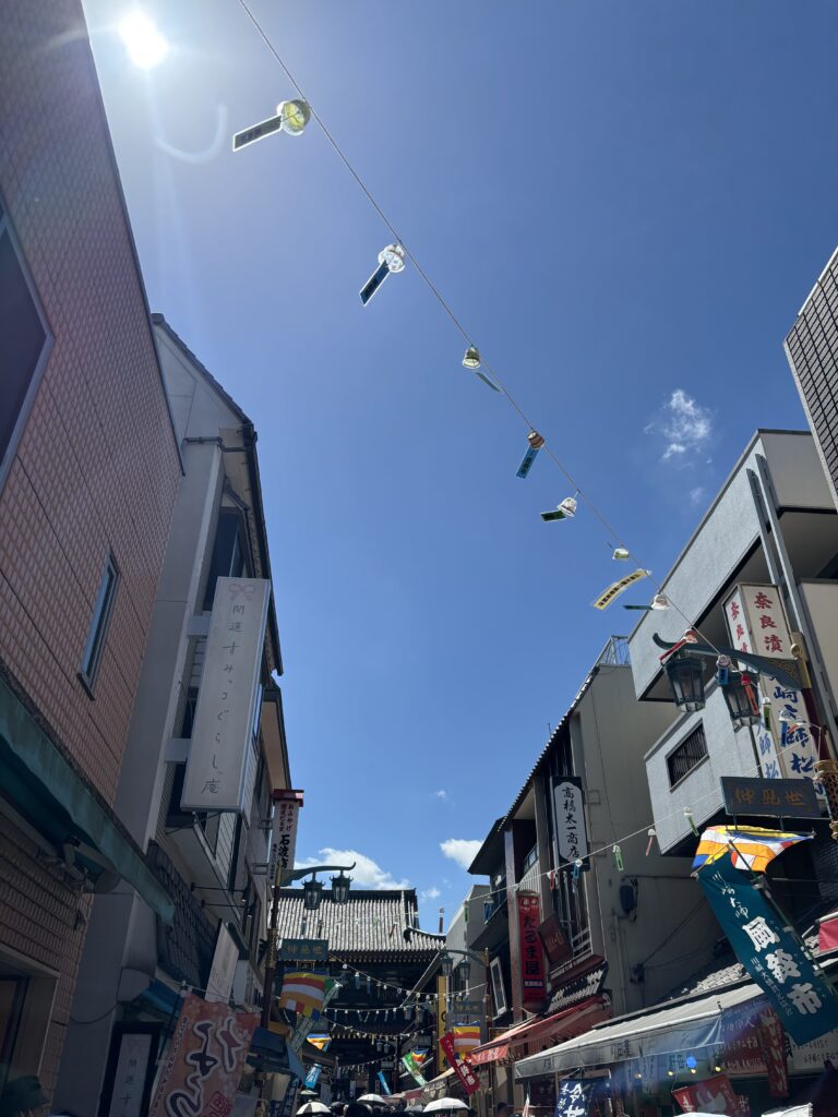 風鈴の種類を徹底解説|素材・音色・伝統工芸の違いと選び方