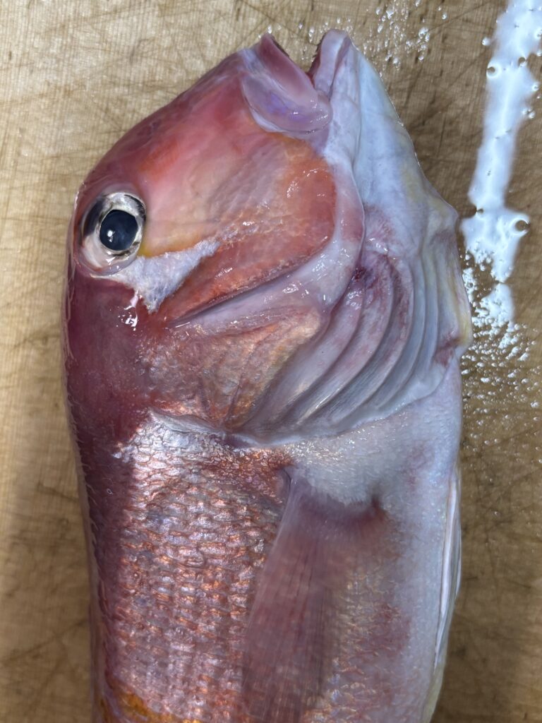 What is Tilefish? Meaning, Types, and Culinary Uses