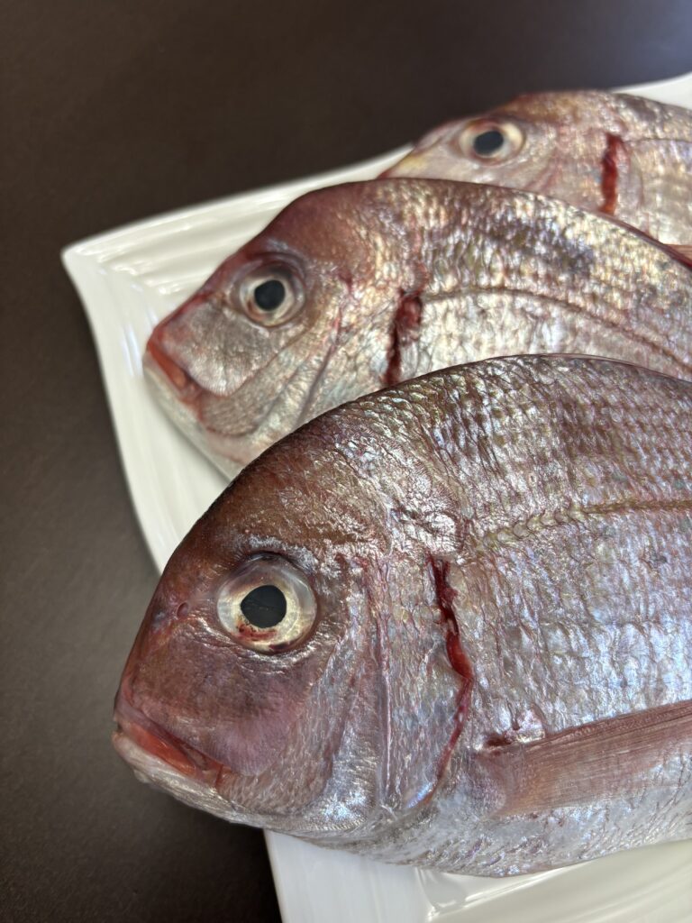 ちだい捌き方・旬・料理おすすめ・産地・選び方