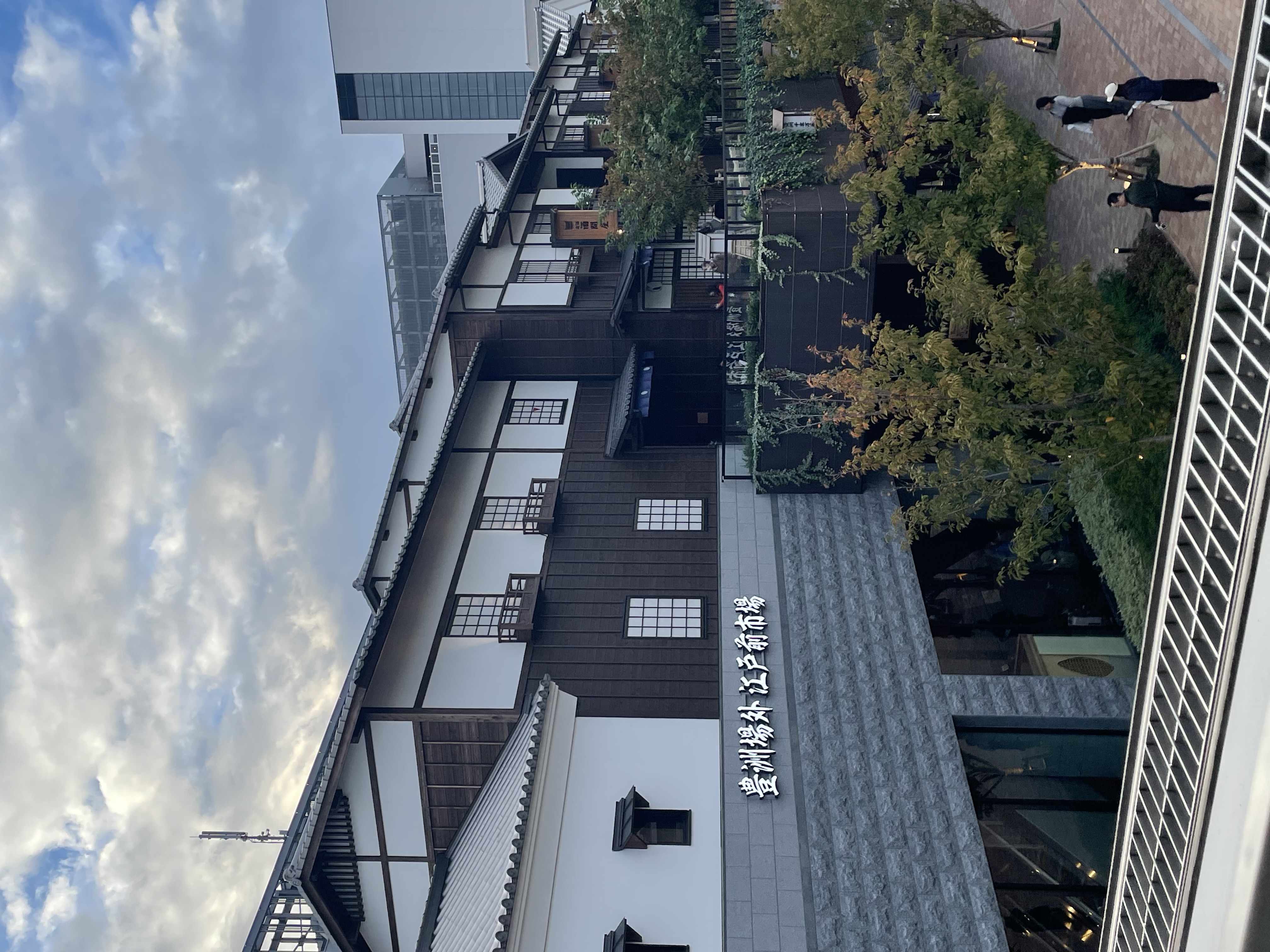 Toyosu Market
